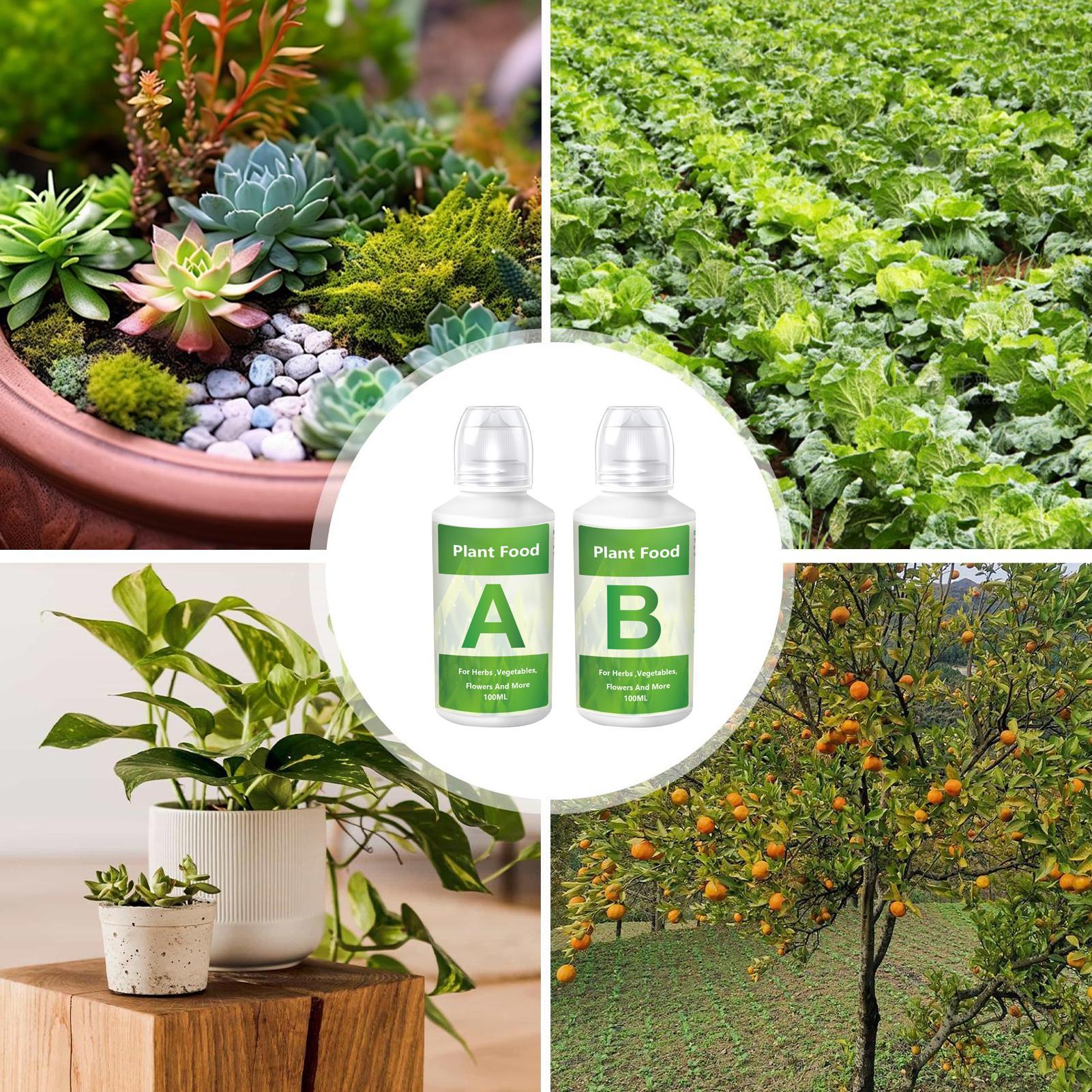 Hydroponic Nutrients Fertilize - Nutrient Solution Ab reseña y precio