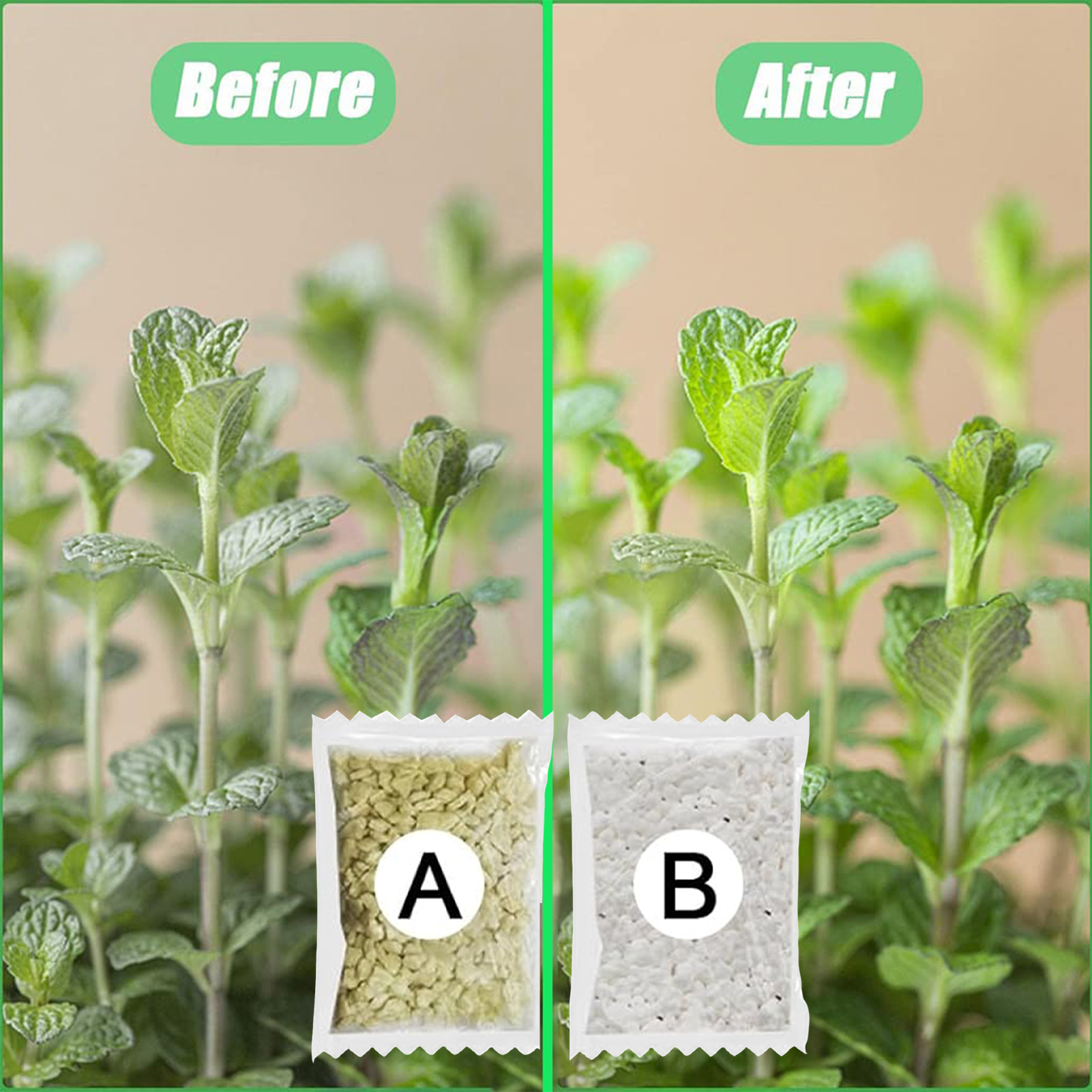 Hydroponic Nutrients Fertilize - Nutrient Solution Ab reseña y precio