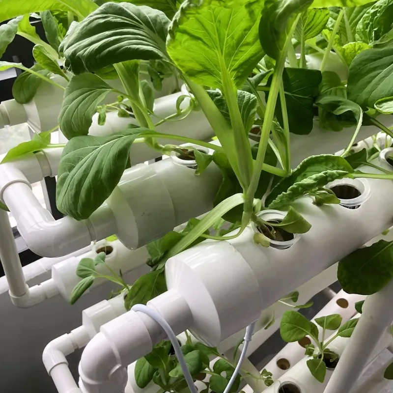 Hydroponic NFT Tube System – V - Urban Farming Usa reseña y precio